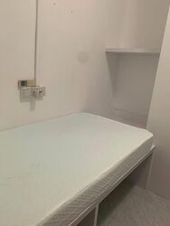 Jalan Chempaka Puteh (D16), Terrace #532096931